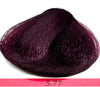 Colorianne Prestige Permanent Hair Color With Q10 Hair Color 96 Variants  3.38oz Prestige Hair Color