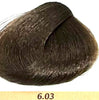 Colorianne Prestige Permanent Hair Color With Q10 Hair Color 96 Variants  3.38oz Prestige Hair Color