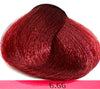 Colorianne Prestige Permanent Hair Color With Q10 Hair Color 96 Variants  3.38oz Prestige Hair Color