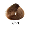 Prestige 20 Minutes Permanent Hair Color Tone On Tone No Ammonia 3.38 oz No Ammonia Color