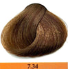 Colorianne Prestige Permanent Hair Color With Q10 Hair Color 96 Variants  3.38oz Prestige Hair Color
