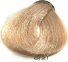 Colorianne Prestige Permanent Hair Color With Q10 Hair Color 96 Variants  3.38oz Prestige Hair Color