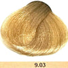 Colorianne Prestige Permanent Hair Color With Q10 Hair Color 96 Variants  3.38oz Prestige Hair Color