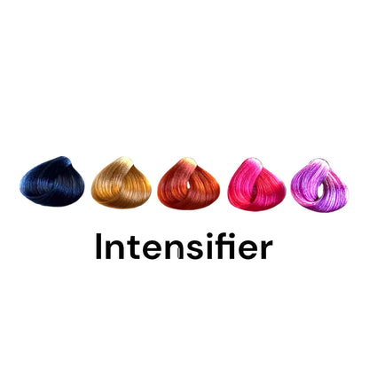 Colorianne Prestige Enhancer/Intensifier Permanent Hair Color With Q10 3.38oz Hair Color Enhancers