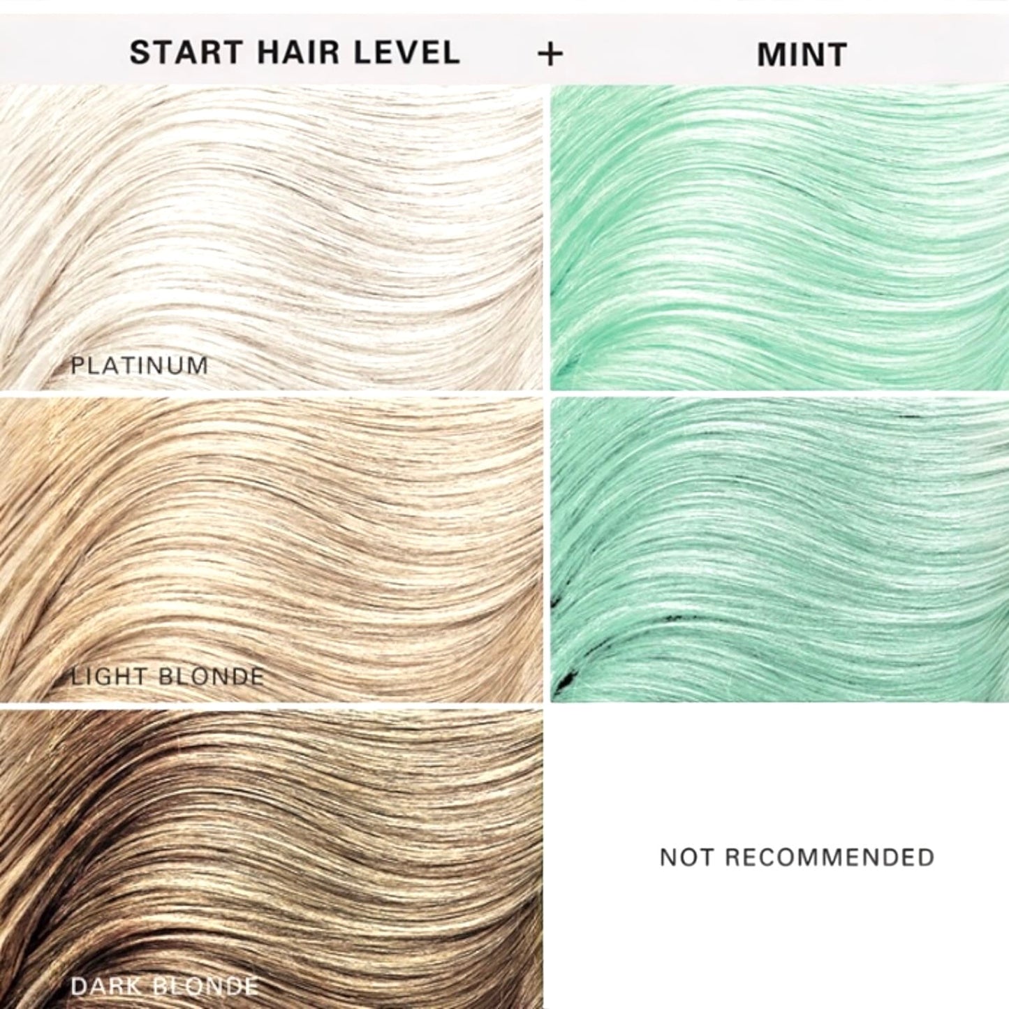Keracolor Mint Color Shampoo + Clenditioner 12oz Shampoo & Conditioner