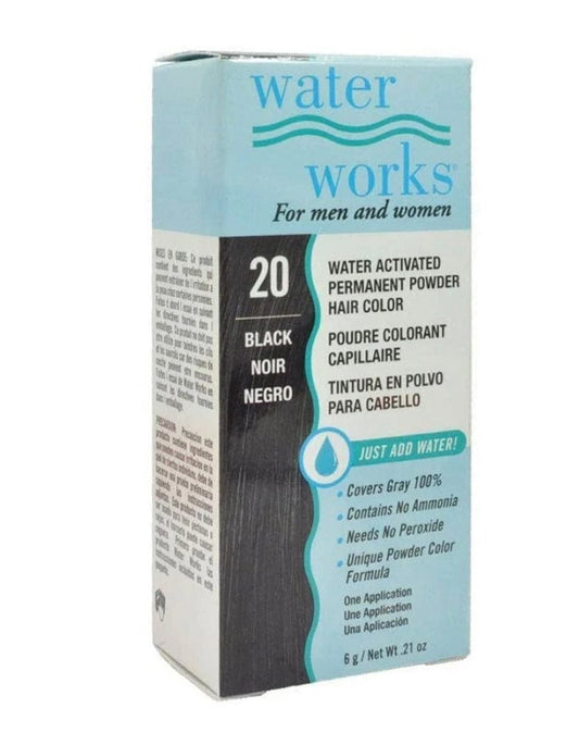 Water Works Permanent Powder Hair Color #20 Natural Black 0.21 oz Hair Color